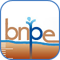 bnpe logo